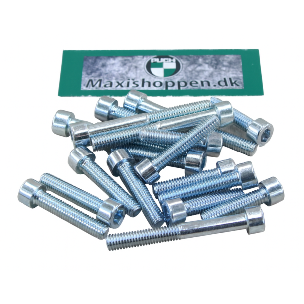 Unbraco Motor Bolt St Komplet Til Puch Maxi P+K+KL+S+P1