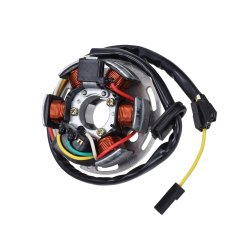 T�nding Elektronisk, Kokusan-type - Puch Maxi