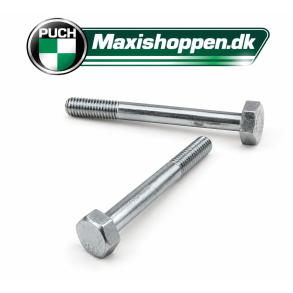 Bolt 8x90 mm Rust Fri