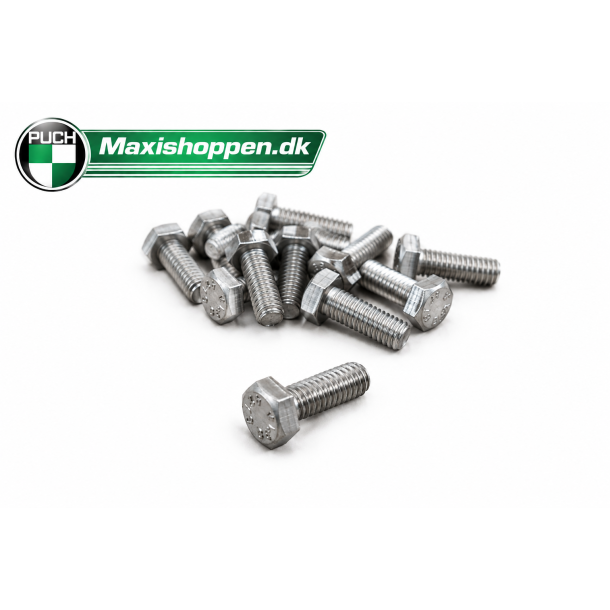 Bolt 6x16 mm Rust Fri