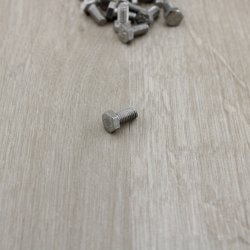 Bolt 5 x 10 mm Rust Frit St�l A4 Syrefast