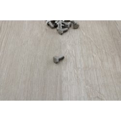 Bolt 5 x 10 mm Rust Frit Stl A4 Syrefast