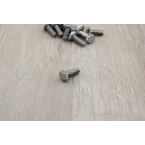 Bolt 6x16 mm Rust Fri