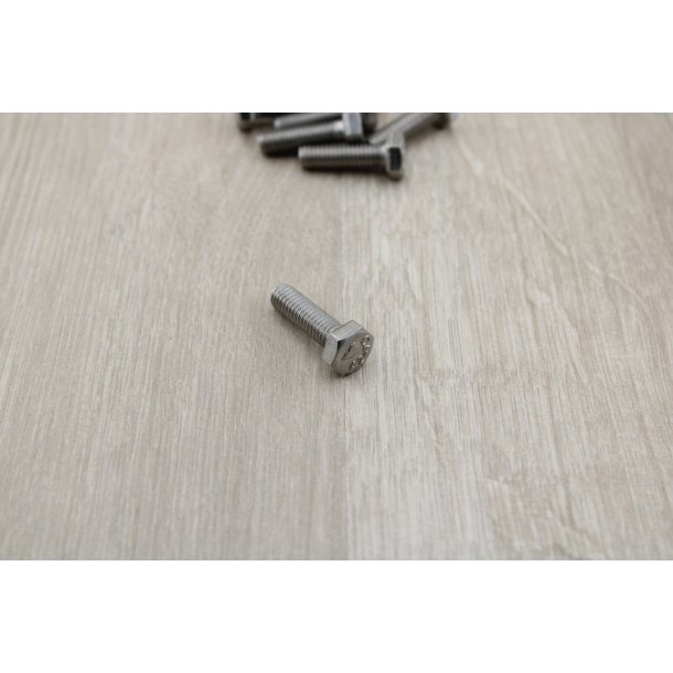Bolt 6x20 mm Rust Fri