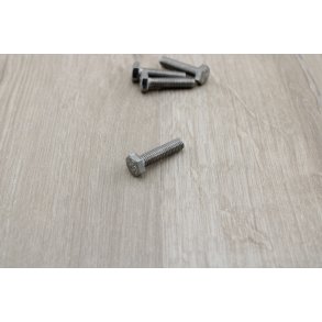 Bolt 6x25 mm Rust Fri