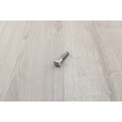 Bolt 8x35 mm Rust Fri