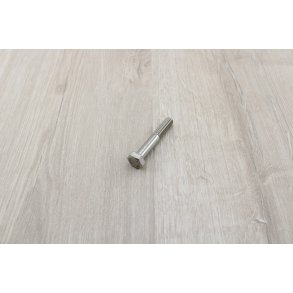 Bolt 8x50 mm Rust Fri