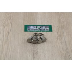 Bolte For Lejeskl Ved Svinggaffel Rust Frit Stl A4 Syrefast