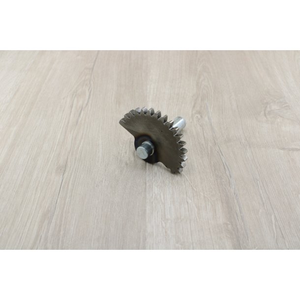 Kickstarter Aksel Puch Maxi E 50