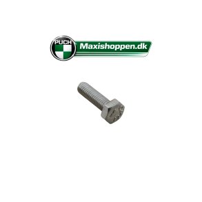 Bolt 6x20 mm Rust Fri