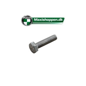 Bolt 6x25 mm Rust Fri