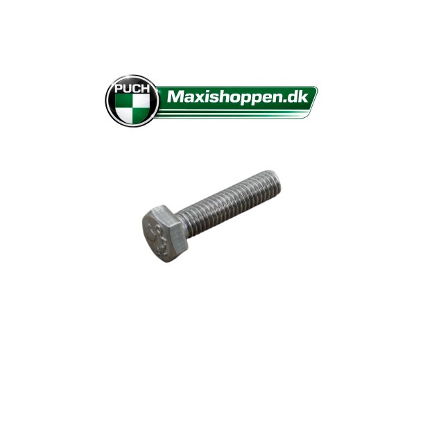 Bolt 6x25 mm Rust Fri